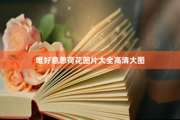 唯好意思荷花图片大全高清大图