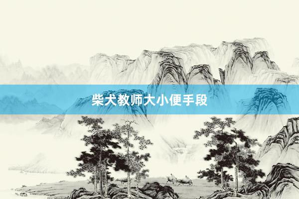 柴犬教师大小便手段