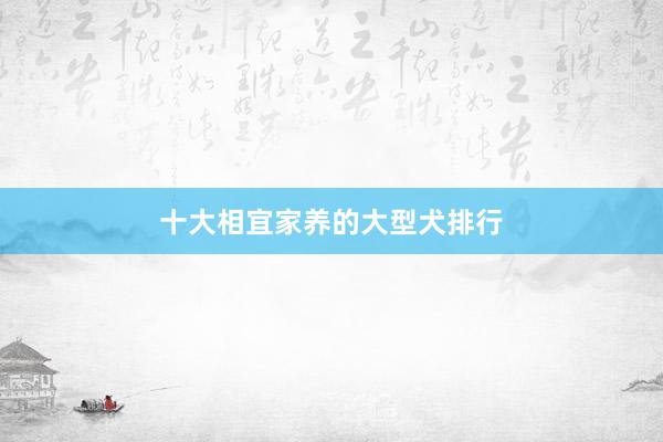十大相宜家养的大型犬排行
