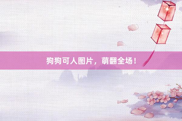 狗狗可人图片，萌翻全场！